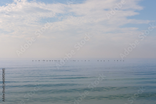 Vogelflug über Bodensee © Udo