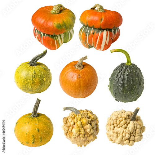 collection of vegetables isolated wonderful dwarf decorative pumpkin for interior decorationon a white background