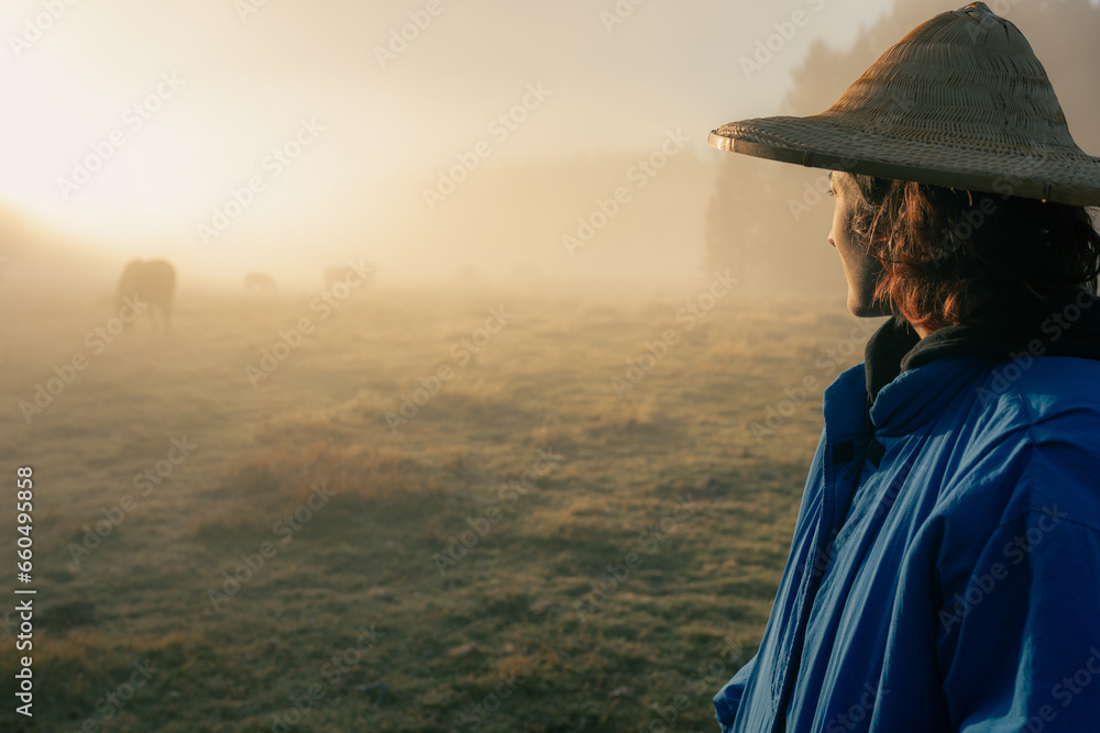 Woman in nature in meadow sunset with mist golden light, back with straw hat Woman in nature in meadow sunset with mist golden light, back with straw hat