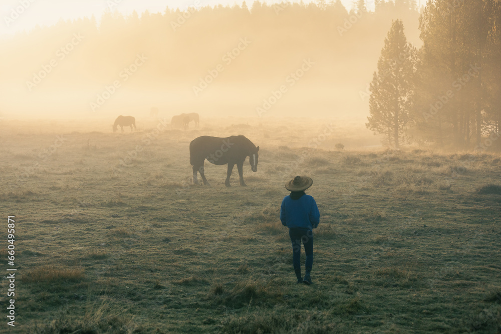 Woman in nature in meadow sunset with mist golden light, back with straw hat
