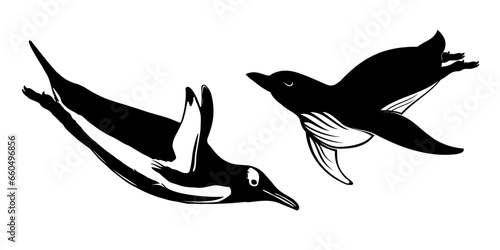 silhouette of a penguin