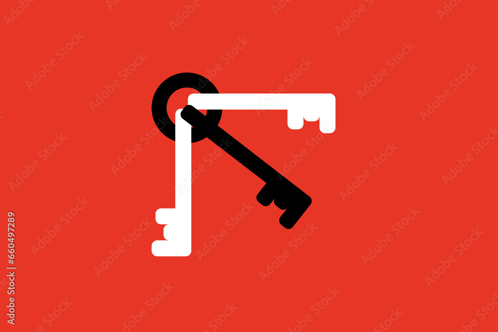 the keys illustration. Vector illustration in flat style design. the keys illustration. Vector illustration in flat style design.