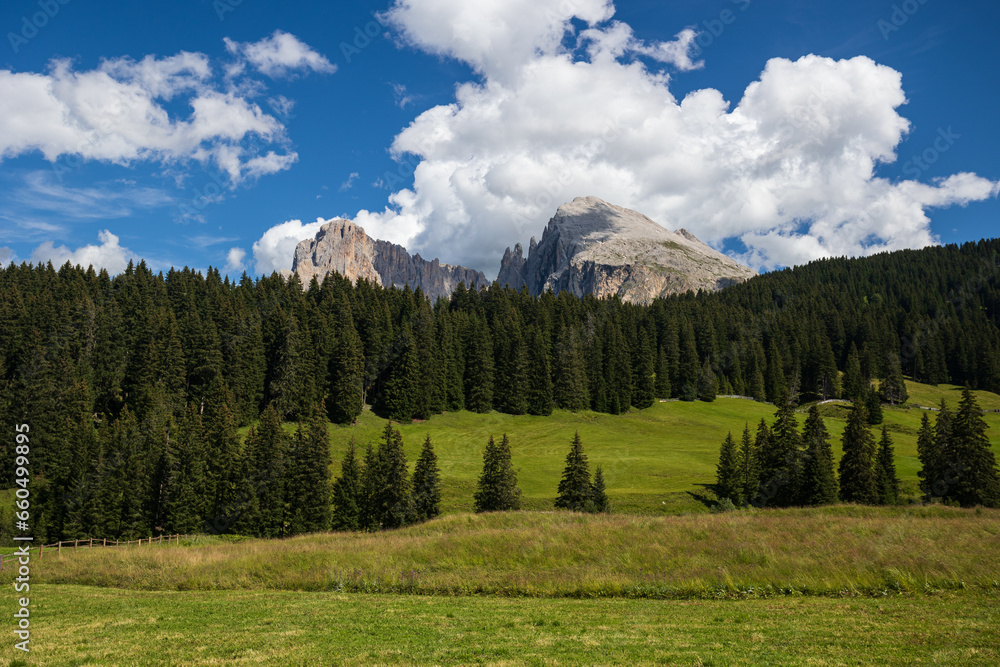 Il Sassolungo e il Sassopiatto dall'Alpe di Siusi