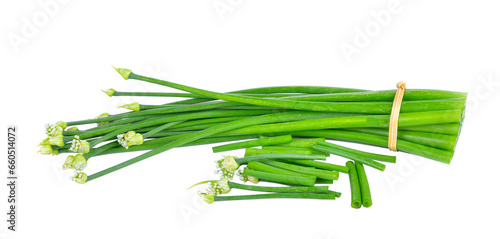 Onion flower on  transparent png