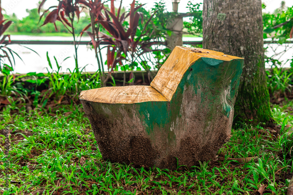 Wooden trunk carved as a chair with green paint left in the open lawn on a rainy day in a tourist destination in Kerala, Allepey. With backwater visible in the background. Wooden trunk carved as a chair with green paint left in the open lawn on a rainy day in a tourist destination in Kerala, Allepey. With backwater visible in the background.