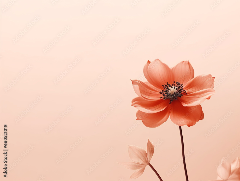 A minimalist close-up view of a flower against a plain background, taken from a low angle.