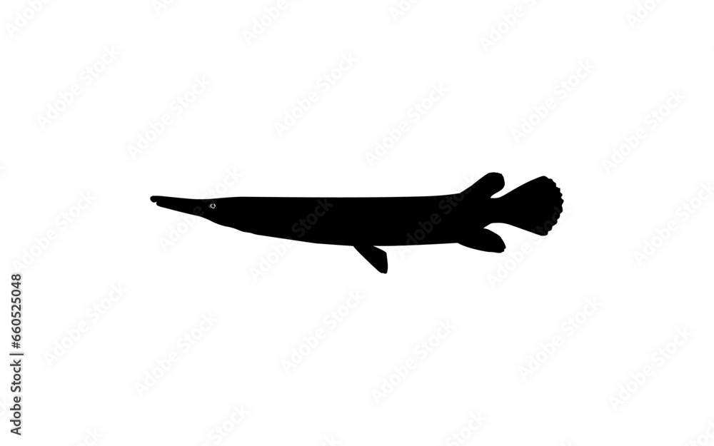 Alligator Fish Silhouette, can use for Art Illustration Logo Gram, Pictogram, Website, or Graphic Design Element. Vector Illustration Alligator Fish Silhouette, can use for Art Illustration Logo Gram, Pictogram, Website, or Graphic Design Element. Vector Illustration