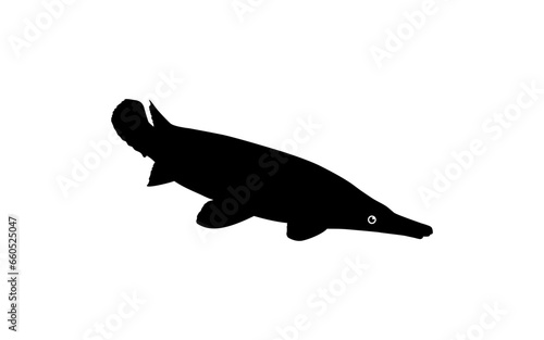 Alligator Fish Silhouette, can use for Art Illustration Logo Gram, Pictogram, Website, or Graphic Design Element. Vector Illustration photo