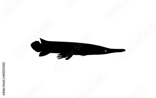 Alligator Fish Silhouette  can use for Art Illustration Logo Gram  Pictogram  Website  or Graphic Design Element. Vector Illustration
