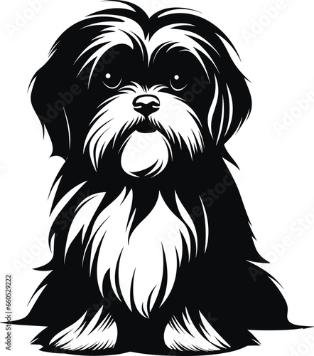 Vászonkép silhouette character shih tzu dog,cute logo.