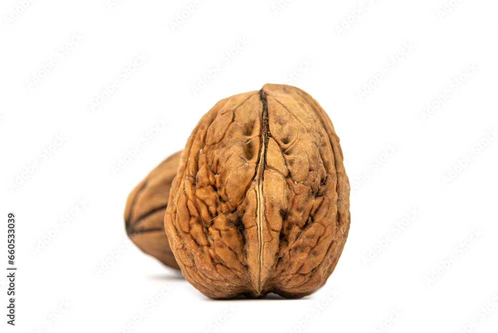 the fresh giant, large walnut the fresh giant, large walnut