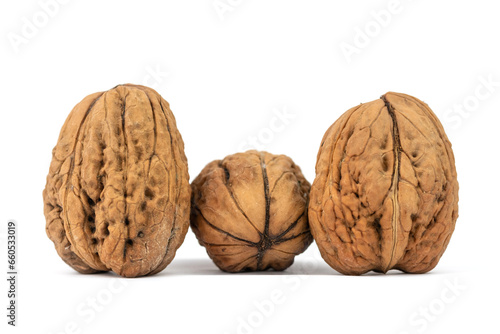 the fresh giant, large walnut