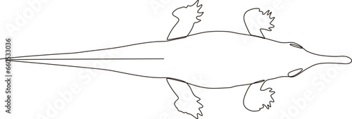 crocodile animal continuous line illustration