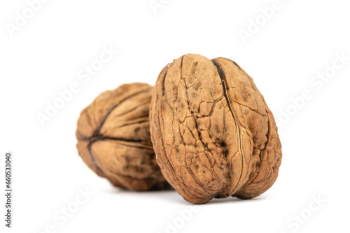 the fresh giant, large walnut