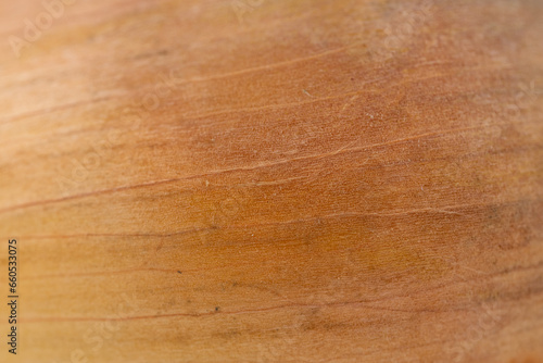 the close up of yellow onion skin