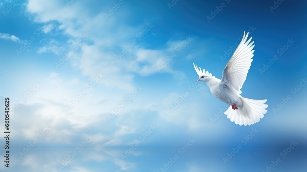 Obraz premium Dove in the air with wings wide open. International Day of Peace background
