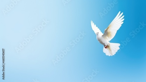 Dove in the air with wings wide open. International Day of Peace background