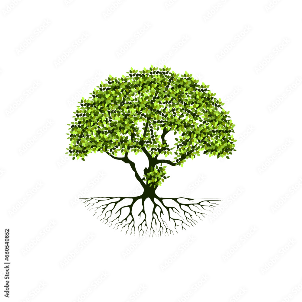 Obraz premium rooted tree logo design. banyan tree with circular shape