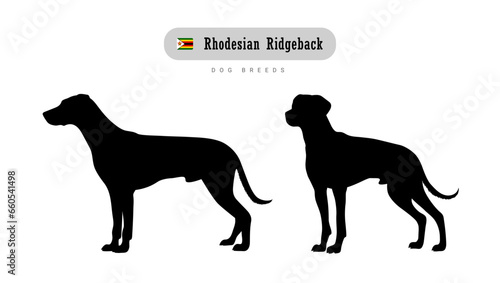 Dog breed Rhodesian Ridgeback. Side and front view silhouettes isolated on white background. photo