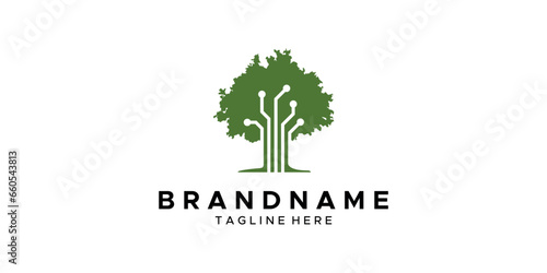 a graphic image on the theme of tree networks, on a white background. graphic vector base.