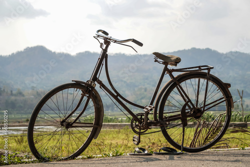 Classic old fashioned black gents roadster bicycle from early 20th century parked in the house yard. Concept for collector items, hobby, vintage, retro style bike, decorations, and museum. © Rizky