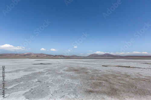 desierto de atacama llamas flora humedales dinosaurios