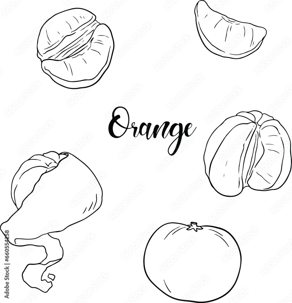 set of orange fruit, orange juice, Black and white, Hand Drawn, illustration, line vector set  