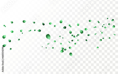Herbal vector with herbaceous mint leaves on a transparent background. Spring green lime or tea leaves.Flying greenish leaves in the wind.Vector realistic illustration of air vortex.Concept of bloomin