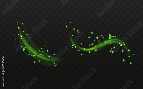 Herbal vector with herbaceous mint leaves on a transparent background. Spring green lime or tea leaves.Flying greenish leaves in the wind.Vector realistic illustration of air vortex.Concept of bloomin