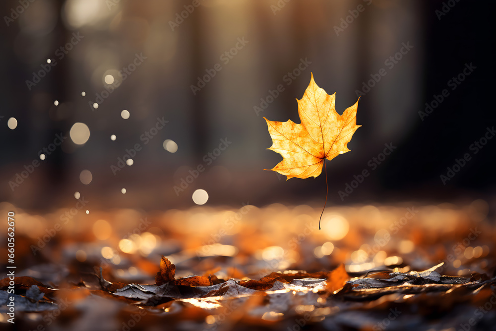 single falling leaf carried by the wind