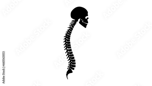 Human spine silhouette with skull, black isolated vector