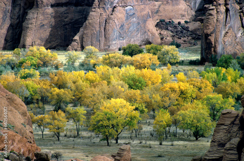 Beautiful Canyon de Chelly National Monument