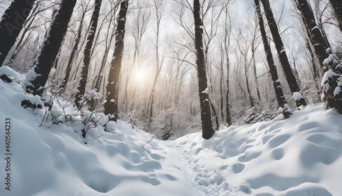 A winter hike through a snow-covered forest with open sky space for an adventurous quote or message.