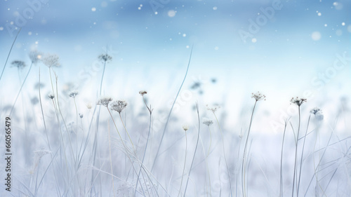 Bokeh Style  Snowy Field and Delicate Flowers