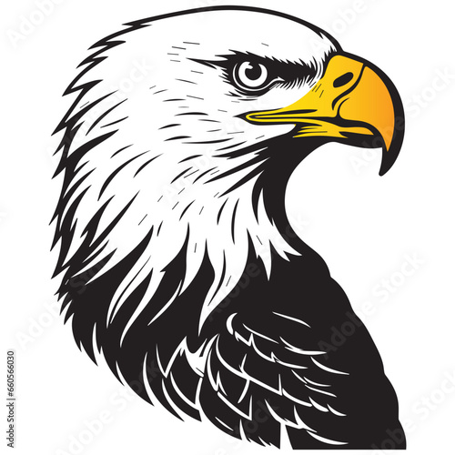 Vector illustration of a bald eagle head drawing with yellow beak and yellow eyes