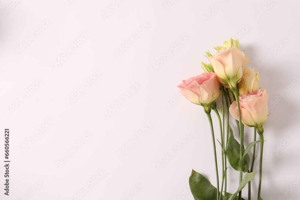 Fototapeta premium bouquet of flowers