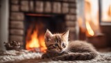 A heartwarming picture of a kitten curled up by the fireplace with a mug of cocoa, leaving room for a cozy caption