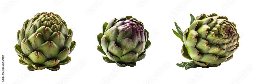 Set of artichoke vegetable isolated on a transparent background. Concept of food. Set of artichoke vegetable isolated on a transparent background. Concept of food.