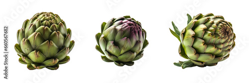 Set of artichoke vegetable isolated on a transparent background. Concept of food.