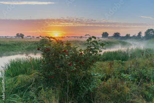 sunrise over the river