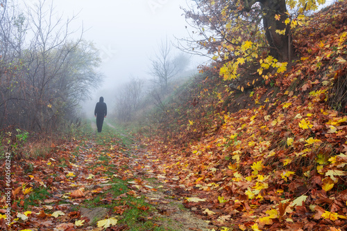 Obraz na plátně Autumn morning fog