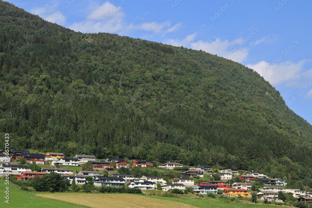 Fototapeta premium Häuser am Fjord in Norwegen