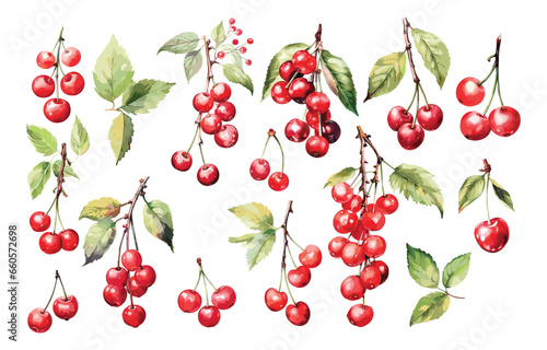 set of cherries for chrismas