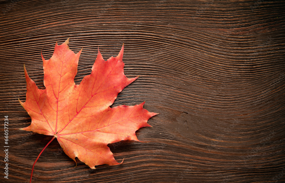 Autumn leave on the black wooden background. Copy space for text. top view Autumn leave on the black wooden background. Copy space for text. top view