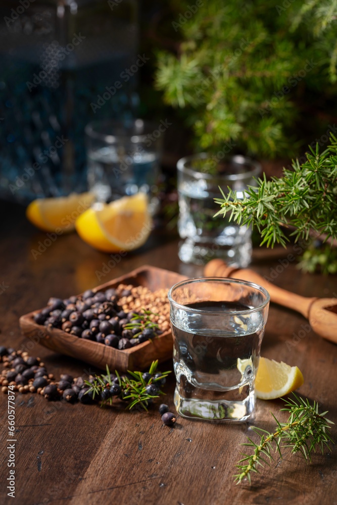 Gin with ingredients on an old wooden table.