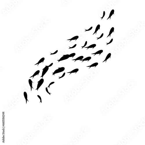 Swimming Fish Sillhouette 