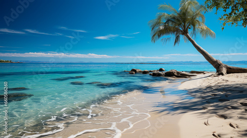 Ideal vacation spot with a palm tree on a serene beach  perfect to disconnect and unwind