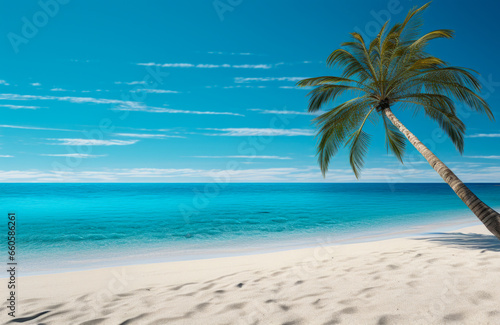 Paradise beach with a palm tree shadow on white sand and crystal-clear turquoise water