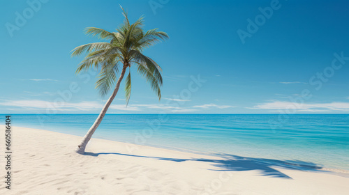 Relax at a paradise beach with a palm tree, white sand and crystal-clear turquoise backdrop © Paula