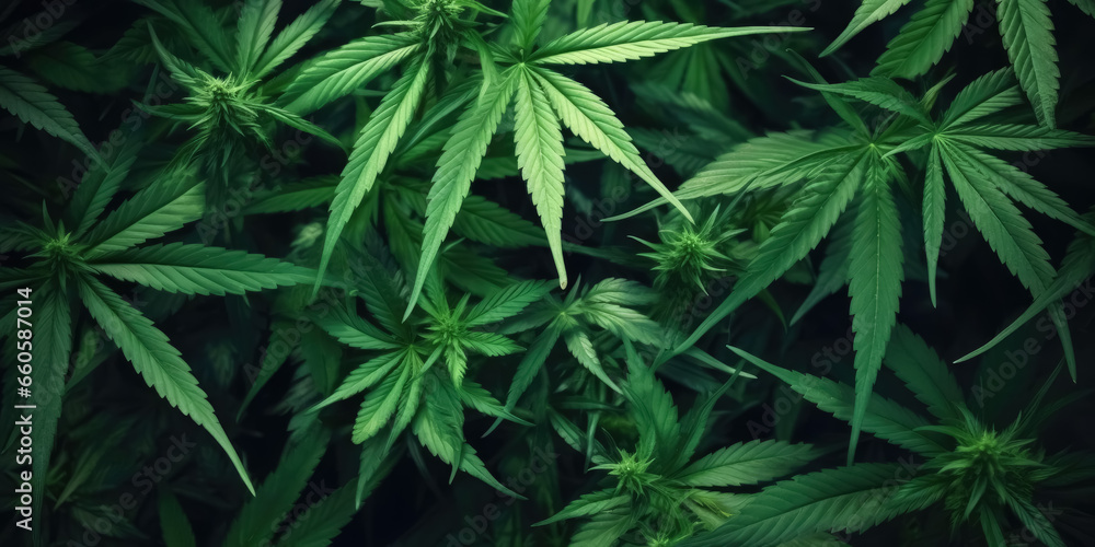 Drug Legalization Background Drug Legalization Background